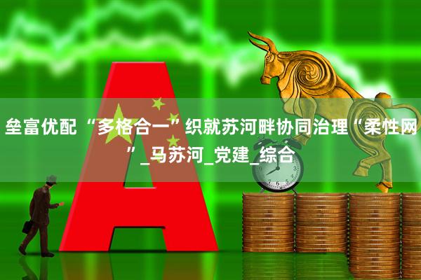垒富优配 “多格合一”织就苏河畔协同治理“柔性网”_马苏河_党建_综合