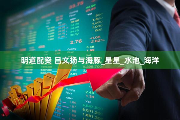 明道配资 吕文扬与海豚_星星_水池_海洋