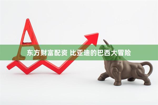 东方财富配资 比亚迪的巴西大冒险