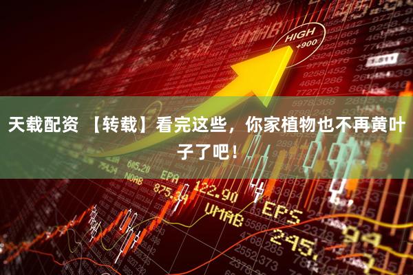 天载配资 【转载】看完这些，你家植物也不再黄叶子了吧！