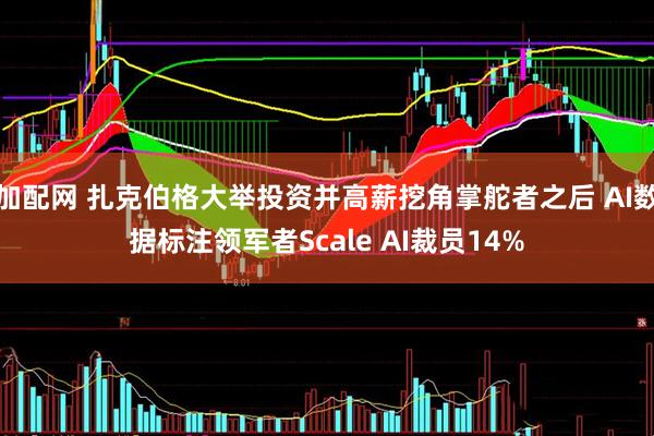 加配网 扎克伯格大举投资并高薪挖角掌舵者之后 AI数据标注领军者Scale AI裁员14%